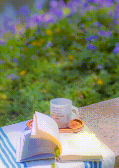 QQ图片20250407132852.gif