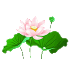 084225uo99an7nk788tyeu.gif