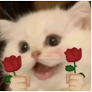 1750389976508.png