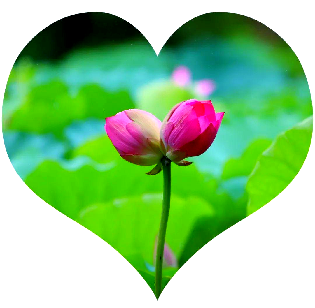 63ceee82979f031b1887ff3f56c83e24.png
