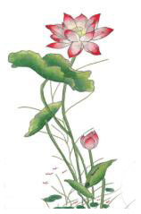 ˼.jpg