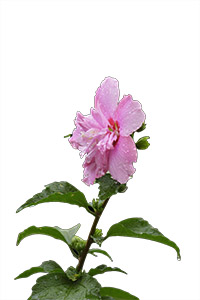 ˼.jpg