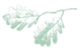 jingtaisucai1 (40).png