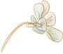jingtaisucai1 (29).png