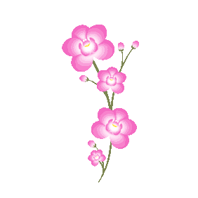 916.gif
