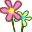 hua.gif