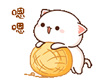 Image_1756043876150.gif