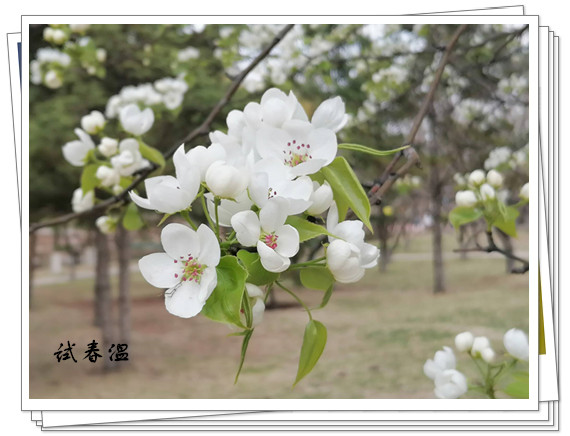 4F1A98C58E086334E314D81F206E582C_����.jpg