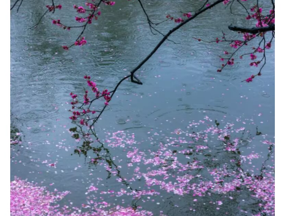 QQ_1778034234109.png