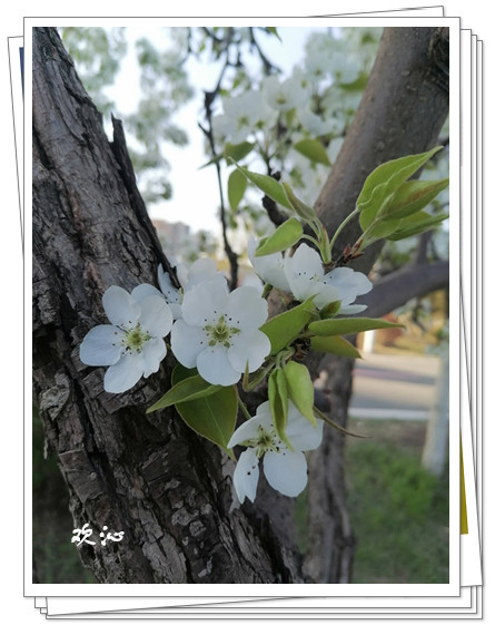 CAB850AD63720F97D5DAED16AE133B37_����.jpg