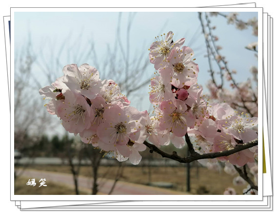 4D8955BA48786AD33E9F92E076919245_����.jpg